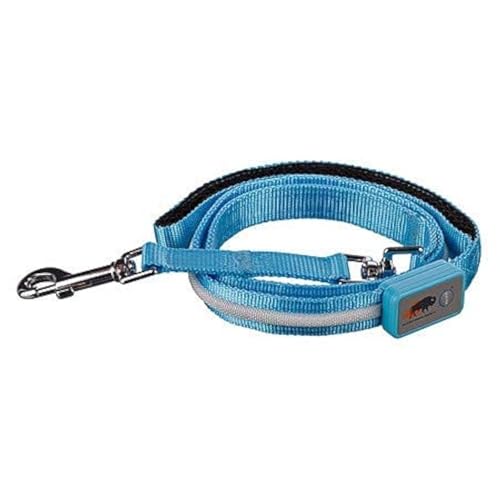 Blazin Correa LED de seguridad para perro – Luz intermitente recargable por USB, 4 pies y 6 pies, resistente al agua – Evitar el peligro (pequeño, azul claro)