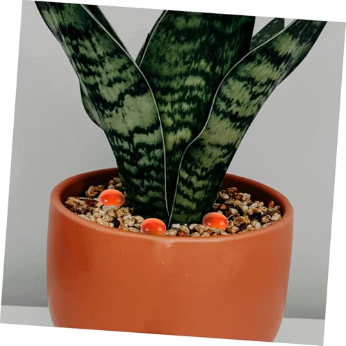 Piedras para manualidades POPETPOP y rellenos de jarrones de vidrio 7