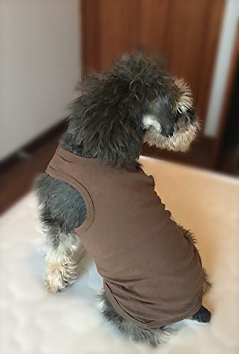 Reviews y listado de Verano 2019 camiseta favoritos de las personas. 27 Imagen adicional