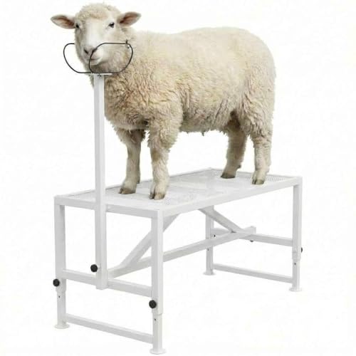 Goat Milking & Grooming Stand 47 x 23 Heavy Duty Metal Livestock Platform 2133 Adjustable Height with Headpiece & Nose Loop for Goats Sheep White