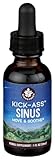 WISHGARDEN Kick Ass Sinus, 1 FZ