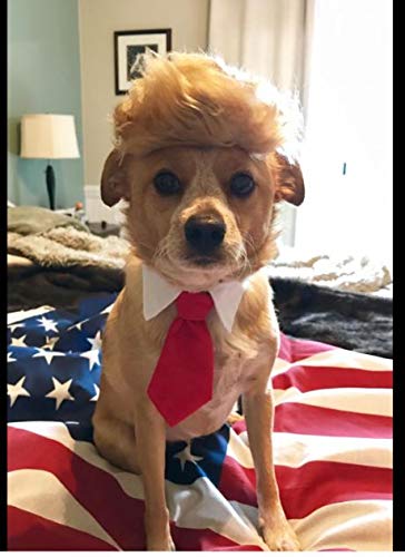 Prymal comfort cat/dog costume for halloween, parties and pictures (trump) 4 Prymal comfort cat/dog costume for halloween, parties and pictures (trump) - image 5