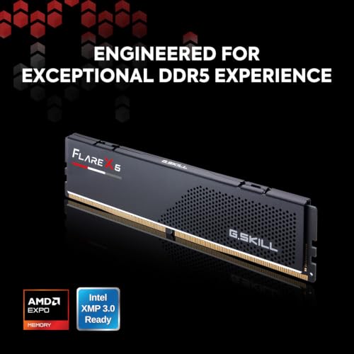 Image of G.SKILL Flare X5 Series DDR5 RAM (AMD Expo & Intel XMP 3.0) 16GB (1x16GB) Up to 6000MT /s CL36-36-36-96 1.35V Desktop Computer Memory U-DIMM - Matte Black (F5-6000J3636F16GX1-FX5)