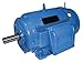 WEG 05518ET3Y250S/M-W22 IEC Tru-Metric Electric Motor, 75 HP,3-Phase, 1785 rpm, 460 V, 60 Hz, Frame 250S/M