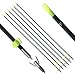 e5e10 35" Bow Fishing Fish Arrows Arrowheads with Durable Steel Replaceable Torpedo Tip and Black Arrow Point, 6pcs