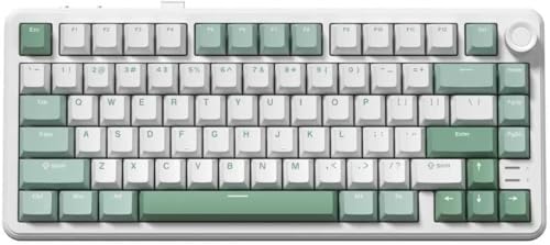 L75 75％ワイヤレスメカニカルキーボード、ノブ付き、ホットスワップ対応、クリーミーガスケット構造、RGBバックライト、事前潤滑済みスイッチ、2.4GHz/USB-C/BT5.0対応