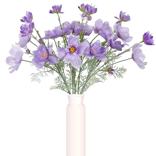 ICBOX Purple Cosmos