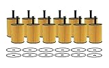 Set of 12 Engine Motor Oil Filters For Audi Volkswagen A3 Quattro Beetle CC Eos EuroVan Golf Jetta