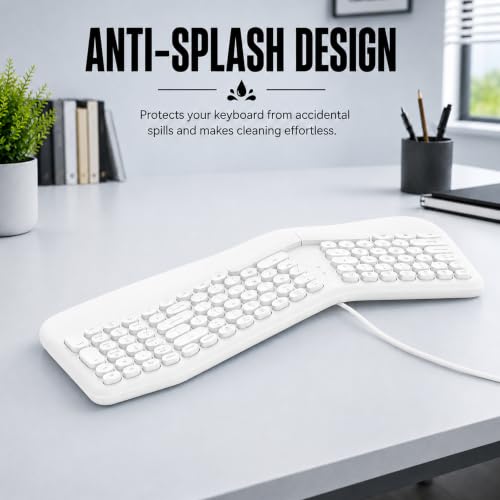 Image of ANT Master 70 Wired USB Keyboard, Full-Size 101-Key Computer Keyboard with FN + 12 Multimedia Shortcut Keys, Smooth Rubber Dome Keys, Anti-Splash Design, 5 Million Keystrokes, Windows & Linux - White
