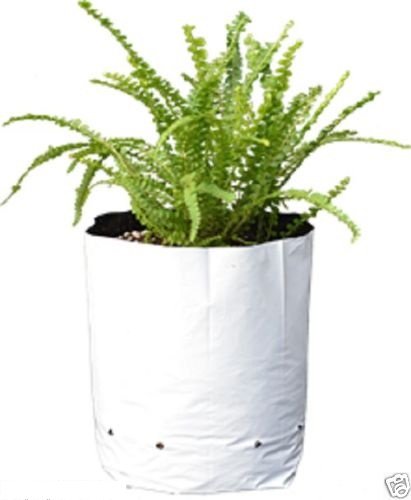 Bay Hydro 1 Gallon Black & White Poly Grow Bags 100pc