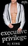 Executive Privilege: An MM Erotic CEO Short Story (Rent Boy Chronicles Book 2)