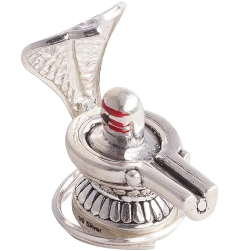 DHRUVS COLLECTION Combo of 999 Silver Mahakal Shivling & 925 Nag ...