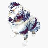 Blue Merle Aussie Pup Vinyl Waterproof Sticker Decal Car Laptop Wall Window Bumper Sticker 5