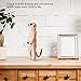 RiToEasysports 2Pcs Meerkat Model, Plastic Lifelike Cute High Stimulation Standing Animal Cognitive Figures Model Toys