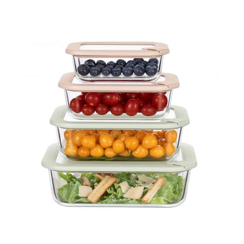 S SALIENT Glas-Frischhaltedosen Set,meal prep boxen,glasbehälter mit deckel,Spülmaschinenfest, Mikrowellen & Gefrierschrankgeeignet, Auslaufsicher, Modern, Lebensmittelbehälter,Rengenbogen