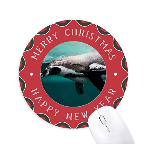 Cm̊Cm̎ʐ^ ~`S̃NX}X}EXpbh