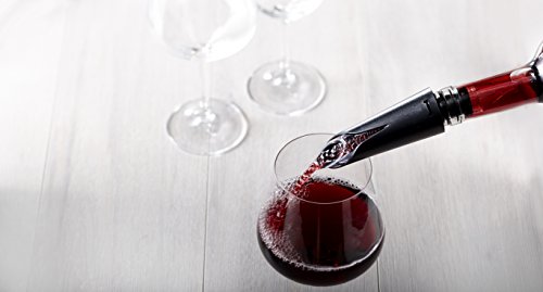 Trudeau Premium Wine Aerator and Decanter Pouring Spout, Clear