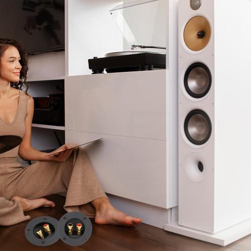 2 terminales para caja de altavoz de 3 pulgadas miniatura 6