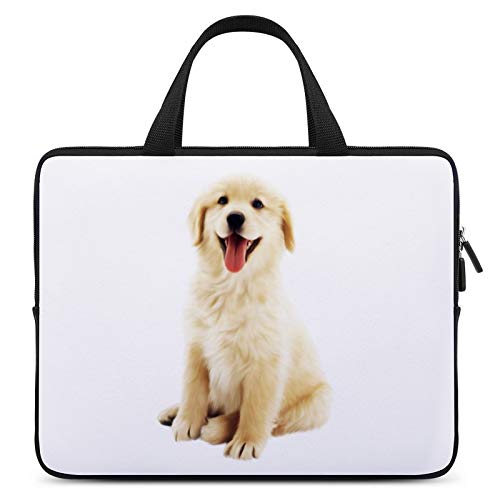 m[gp\RobO PCP[X PCobO 13/15/17C` Ci[obO S[fgo[  Ί bvgbvX[u p\RJo[ 񂰃Jo 񂰃obO y p\RP[X PC[Jo h Ռz  ʊw 