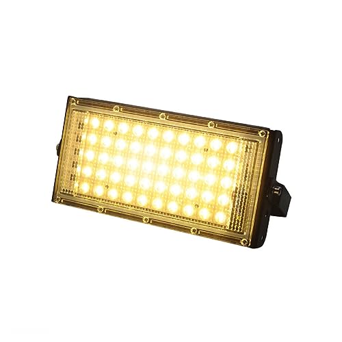 50W 100W RGB LED Proiettore IP65 Impermeabile Faretto For Esterni Luce Di Inondazione Paesaggio Illuminazione Con Telecomando(50W Warm)