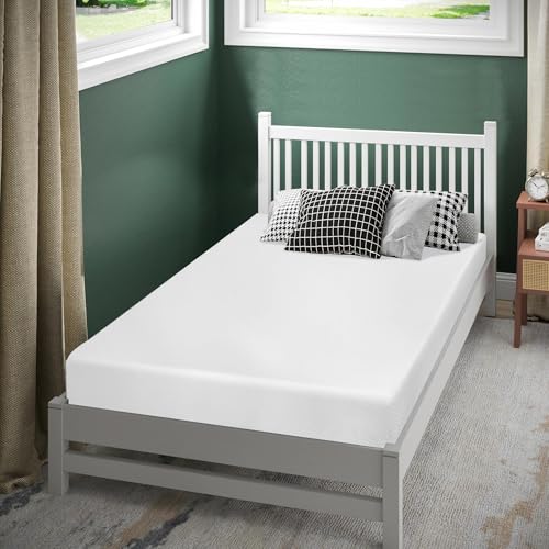Twin Mattress, Green Tea Mattress Memory Foam Mattress for Pressure Relief & Cool Fresh Sleep, Medium Firm Twin Bed Mattress, Fiberglass Free, Certipur-Us Certified Twin Mattress for Kids (Twin,5 In)