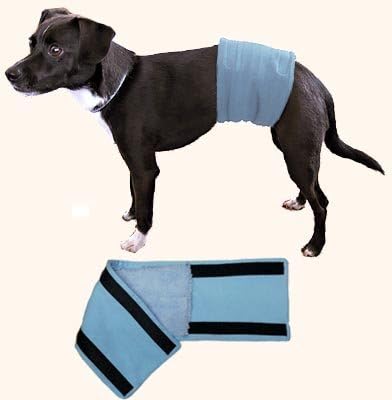 Male Wrap, Dog Belly Band - Housetraining/Housebreaking Aid (18.5-22" Waist)