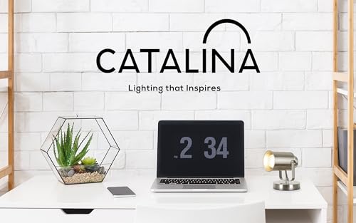 Catalina Lighting 18775-012 Modern Multipurpose Spotlight Desk Or Wall Mount Accent Lamp thumb #8