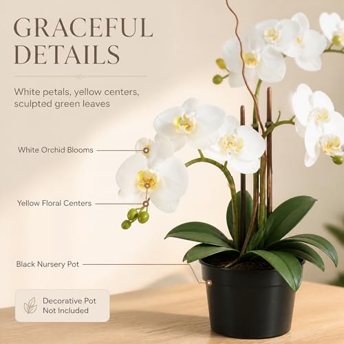 Soul Relaxation 25-Inches Artificial White Orchid Plant (Without Pot) - image 3