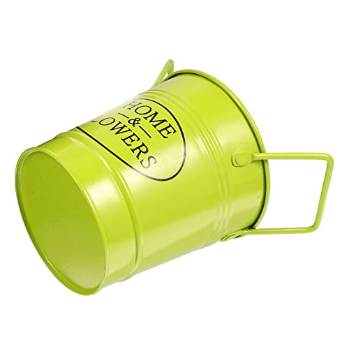 BESPORTBLE Metalleimer Blumentopf Eisen-pflanzgefäß Kompakt Blumeneimer Für Sukkulenten Aufbewahrungseimer Mit Griff Für Zuhause Und Garten