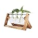 Produktbild Desktop-Dekorationen, Pflanze Bulb Vase mit Retro-Massivholzständer und Metall Rotierenden Rod Holder für Hydroponics Pflanzen Desktop Glas Pflanzer für Zuhause / Garten / Hochzeit / Dekor, 11" x 5.5"