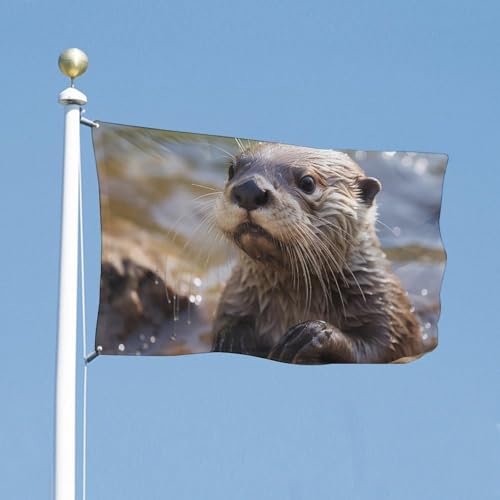 Drapeau de loutre de qualité supérieure double face pour extérieur