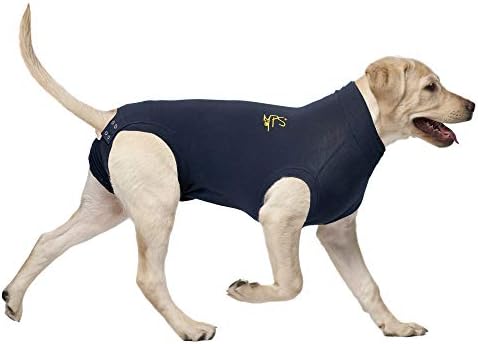 MPS Medical Pet Shirt Dog, Surgery Recovery Suit, Blue, Small +