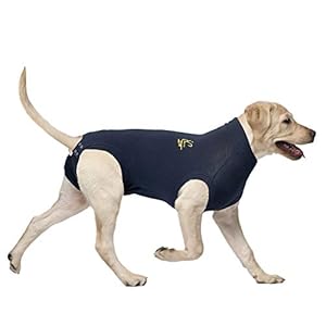 MPS Medical Pet Shirt Dog, Surgery Recovery Suit, Blue, Medium