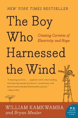 Paperback The Boy Who Facebook The Wind Stworzenie elektryczności i Nadzieja P.S.