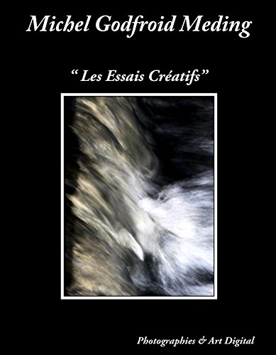 Télécharger Les Essais Creatifs PDF