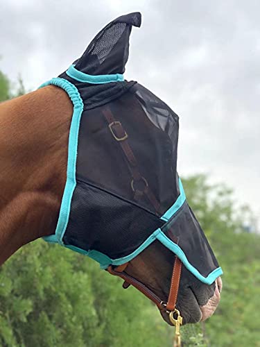 TGW RIDING Horse Mask Full Face Mesh Mask Fine Mesh with Ears and Long Nose (Cob, Black/Turquoise) - Image 6