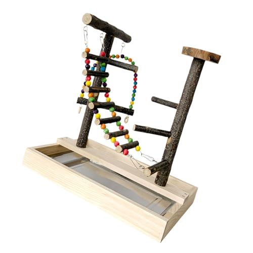 Échelle d'escalade en bois naturel suspendue perroquets perruches
