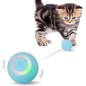 Interaktives Katzenspielzeug Ball, Katzenball mit LED-Licht, 360° Selbstdrehender Elektronischer Katzenball, Stimulierung Jagdtriebs Lustiges Bälle Spielzeug für Katzen, Blau (Blau)