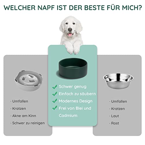 SPUNKYJUNKY Hundenapf Keramik Doppel Hund Futternapf mit Bambus Ständer für Katzen und Hunde (400ml, 1-Grün)