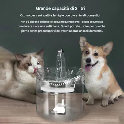 Bebedero inteligente de 2L para perros pequeños y gatitos de interior 5