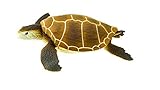 Safari Ltd. Green Sea Turtle Realistic Hand Painted Toy Figurine Model Quality Construction from...