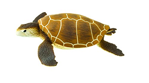 Safari- Tortuga Marina marrón Animales, Multicolor (S202329) Cover