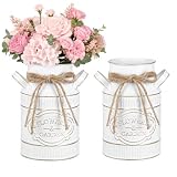 Vase De Ferme Rustique : Vase de ferme en métal galvanisé avec poignées et ficelle de jute apportant un charme rétro authentique style shabby chic chic à votre intérieur