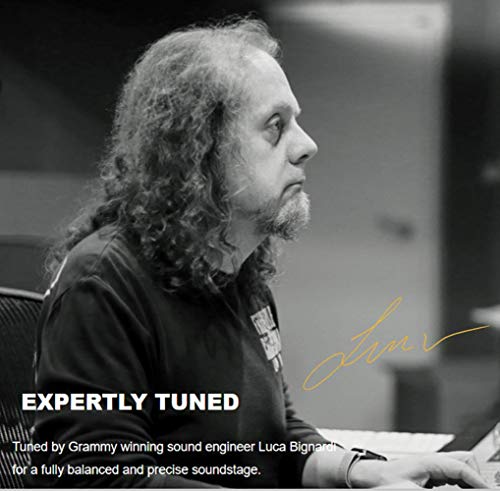 1More Stylish True Wireless Earbuds, Bluetooth 5.0, 24-Hour Playtime, Stereo In-Ear Headphones With Charging Case, Built-In Microphone, Alternate Pairing Mode #TOP5