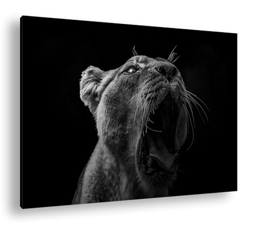 Toile lionne deyoli 90x60 cm tableau noir et blanc sur cadre en bois