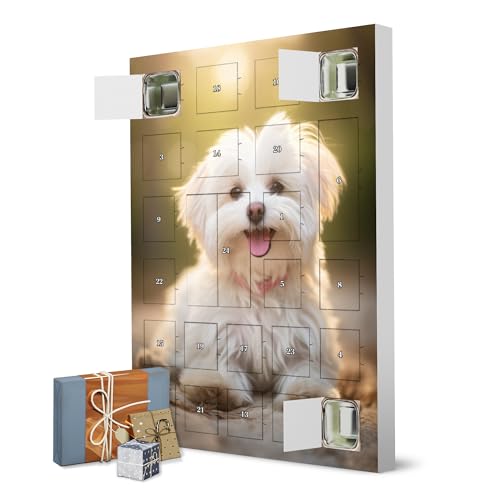 Adventskalender zum Selbstbefüllen Fröhlicher Malteser artboxONE Adventskalender Tiere