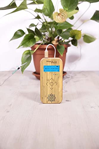 Music of the Plants - Bamboo M. Portable bamboo wood device with