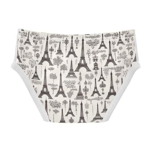 visesunny Boys Potty Training Underwear Eiffel Tower Silhouette Pattern Breathe Cotton Briefs Size 2T-8Y for Toddler2