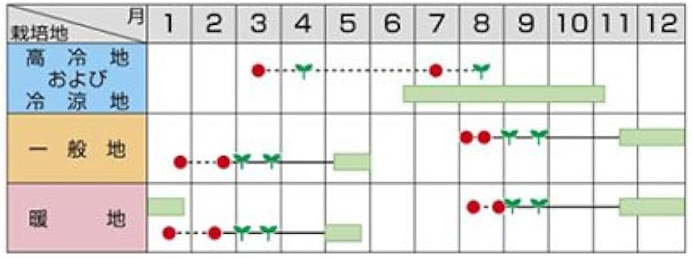Amazon.co.jp: ブロッコリー 種 【 おはよう 】 ペレット5000粒 : DIY Amazon.co.jp: ブロッコリー 種 【 おはよう 】 ペレット5000粒 : DIY