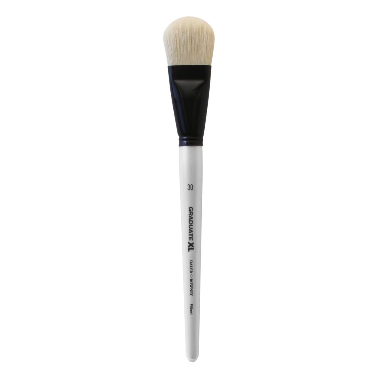Daler-Rowney Graduate XL Oil Brush, Natural Hog Bristle, Long Handle, Filbert, 30